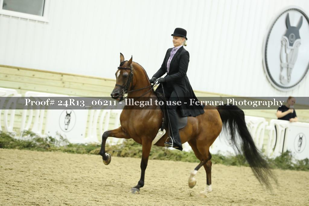 Proof 24R13_06211