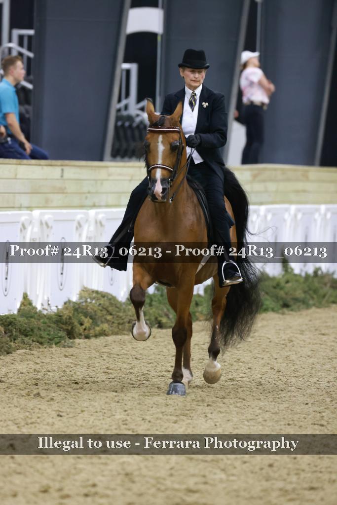 Proof 24R13_06213