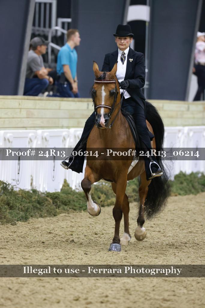 Proof 24R13_06214