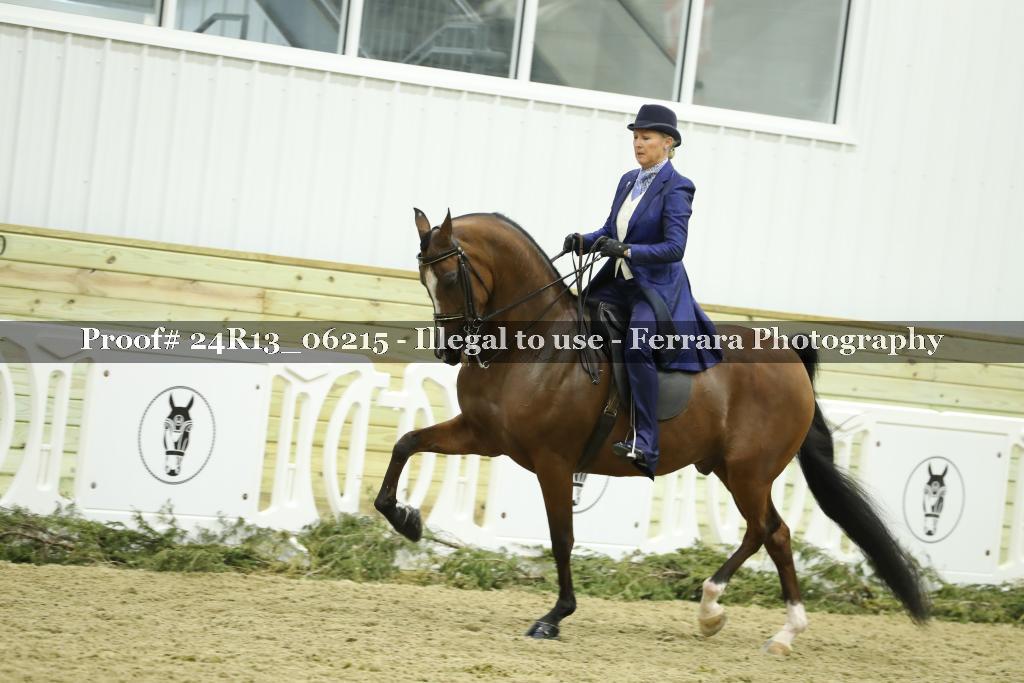Proof 24R13_06215