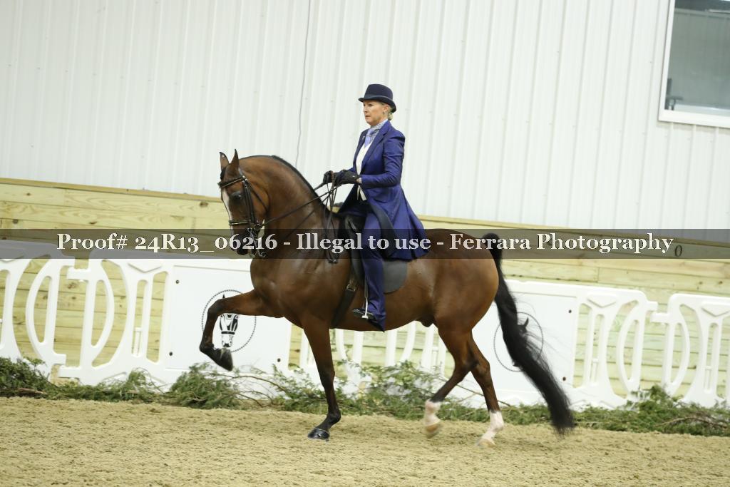 Proof 24R13_06216