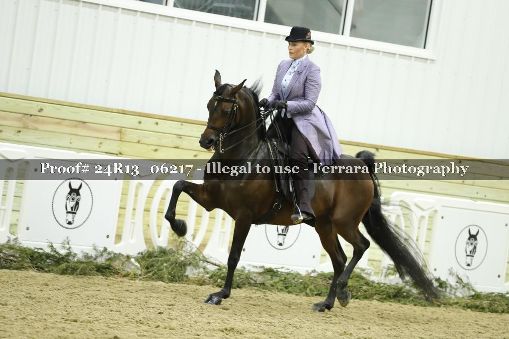 Proof 24R13_06217