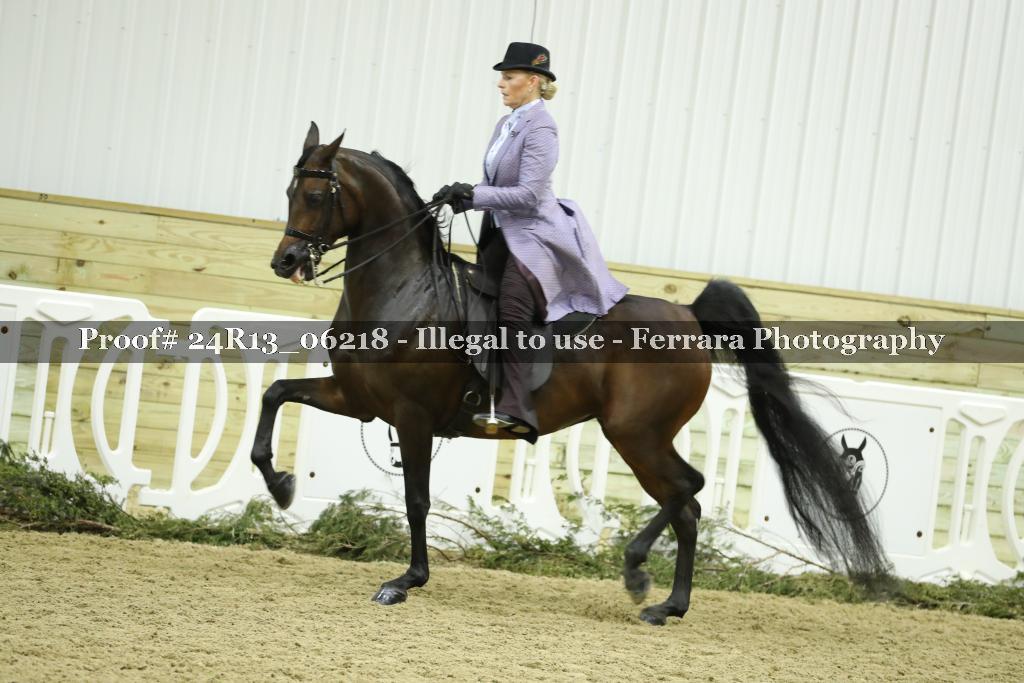 Proof 24R13_06218