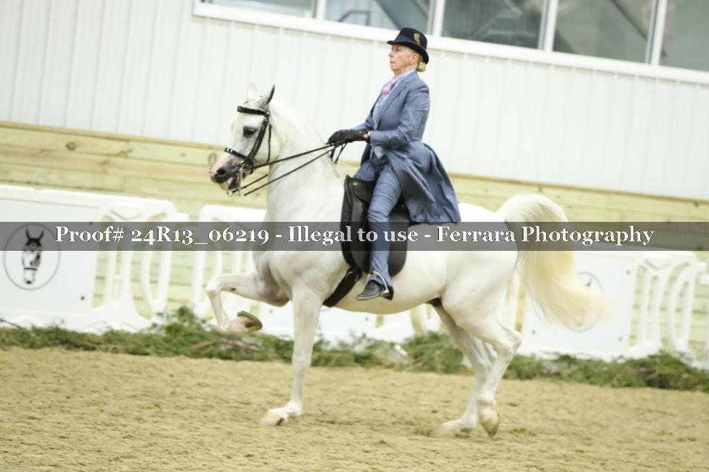 Proof 24R13_06219