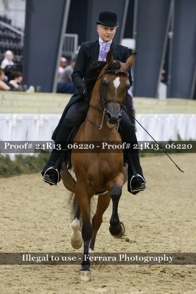 Proof 24R13_06220