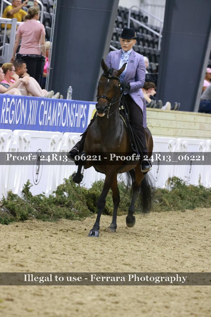 Proof 24R13_06221