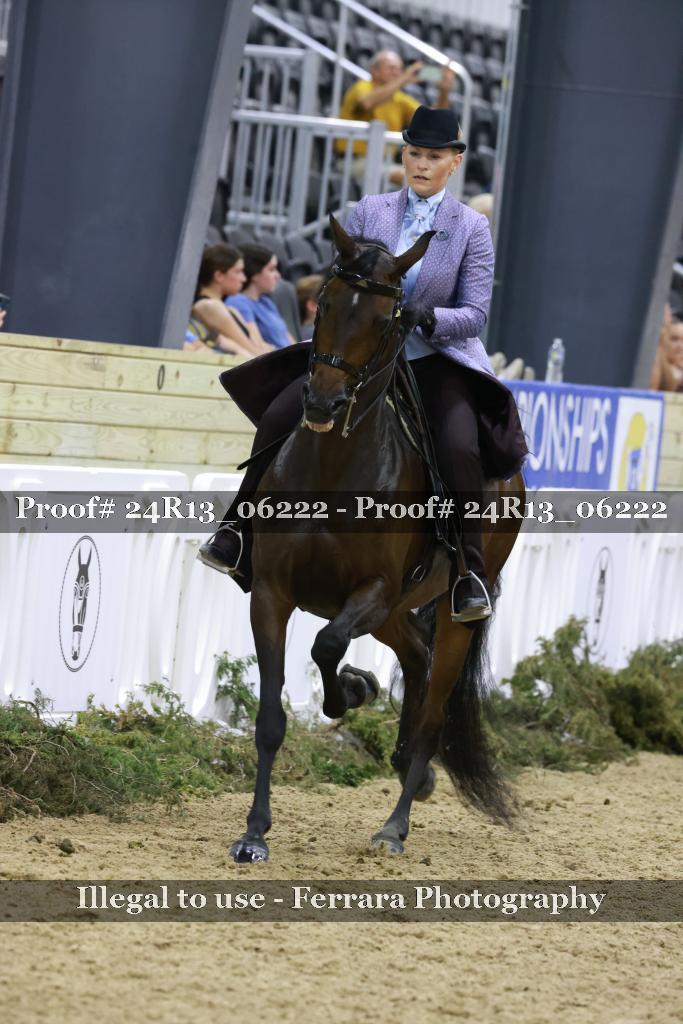 Proof 24R13_06222