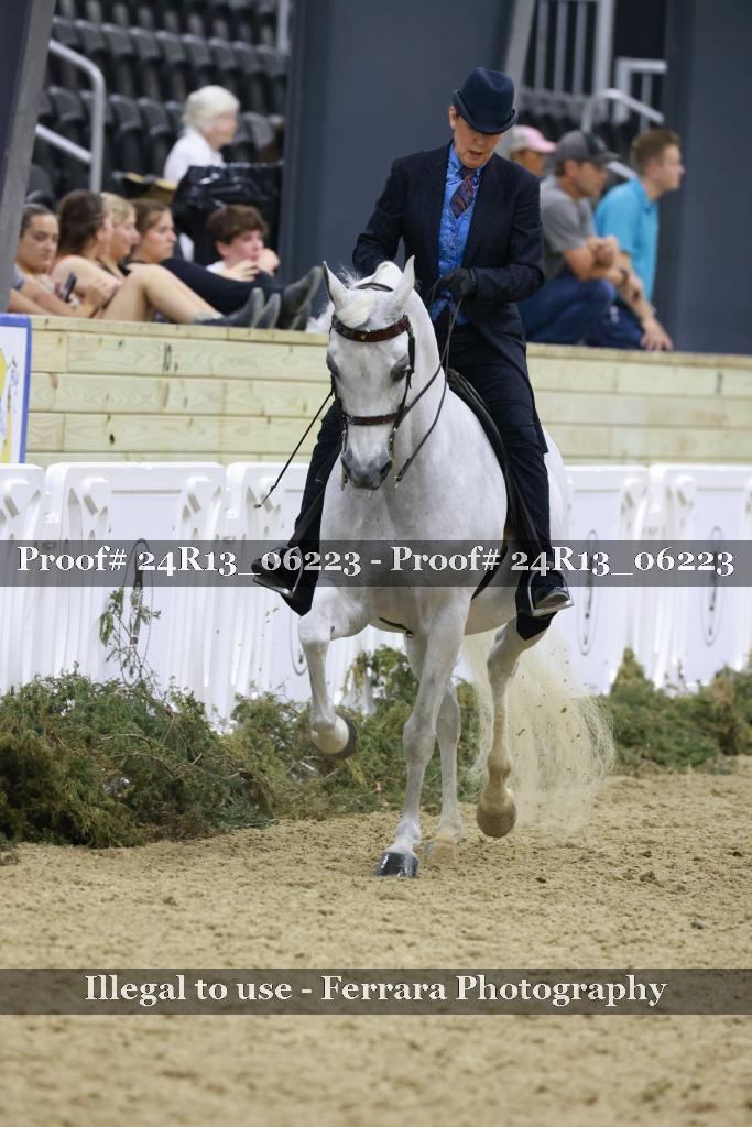 Proof 24R13_06223