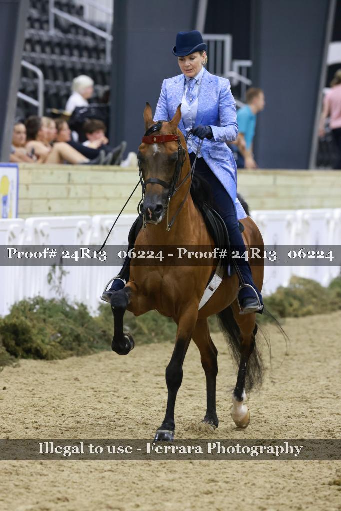 Proof 24R13_06224