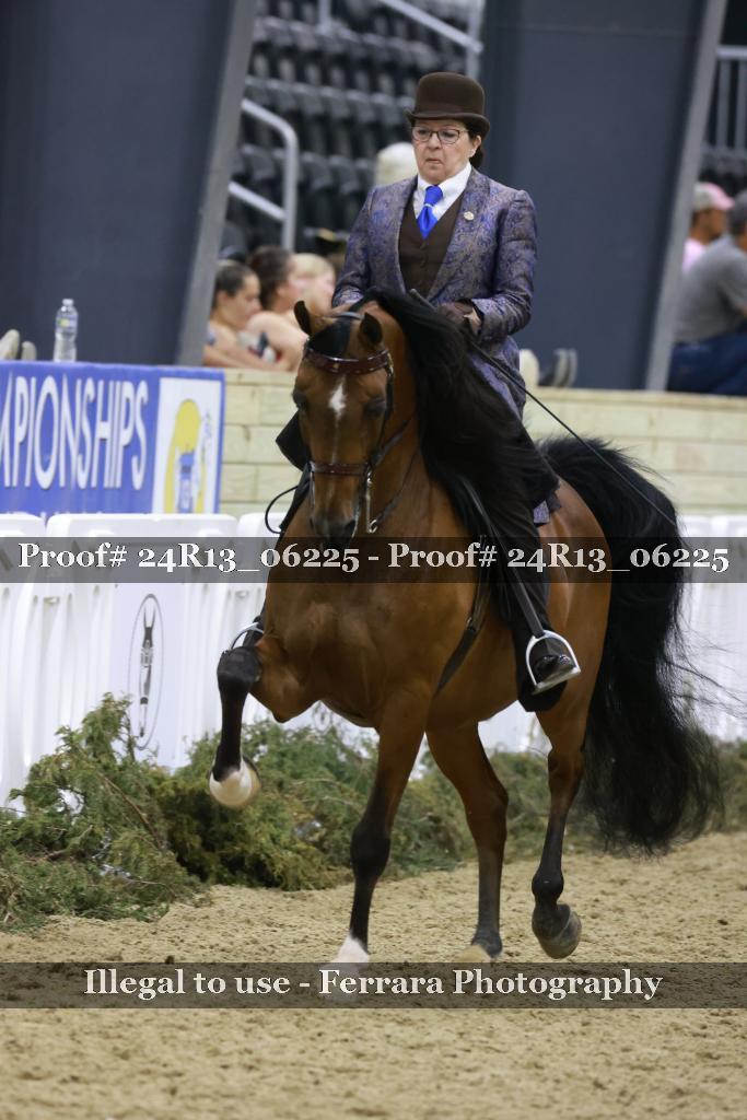 Proof 24R13_06225