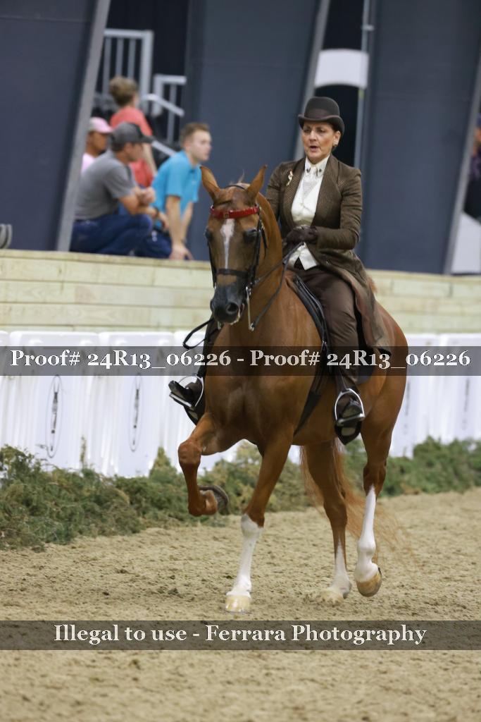 Proof 24R13_06226