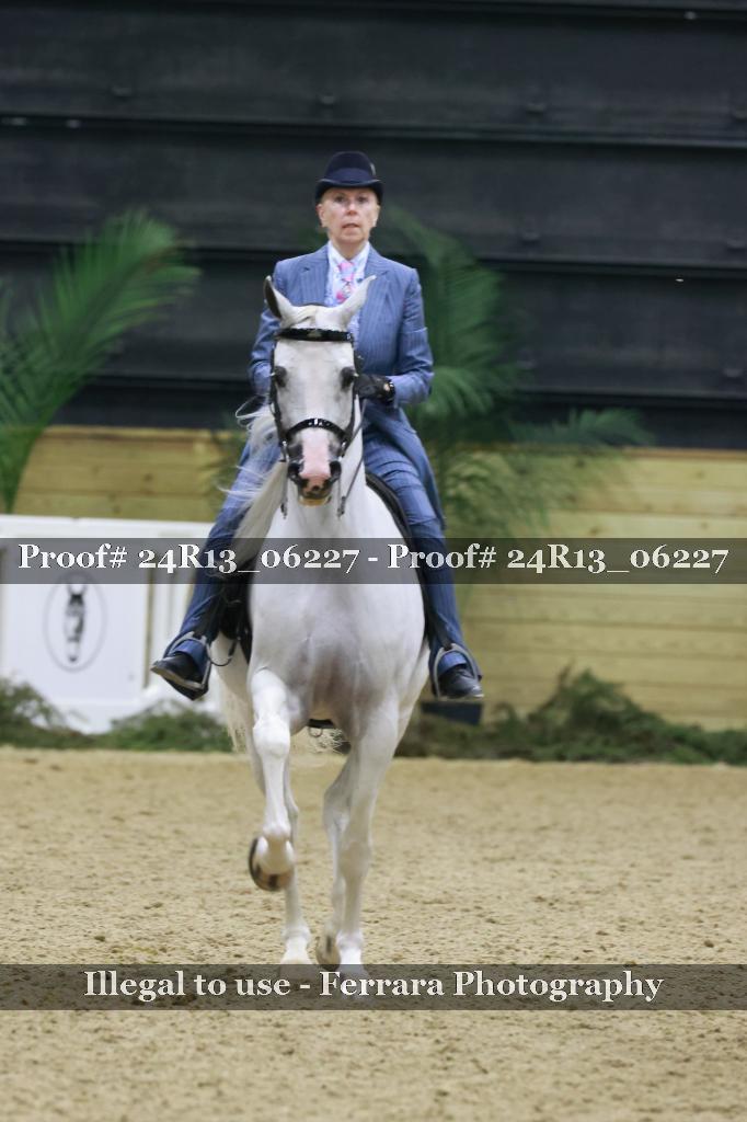 Proof 24R13_06227