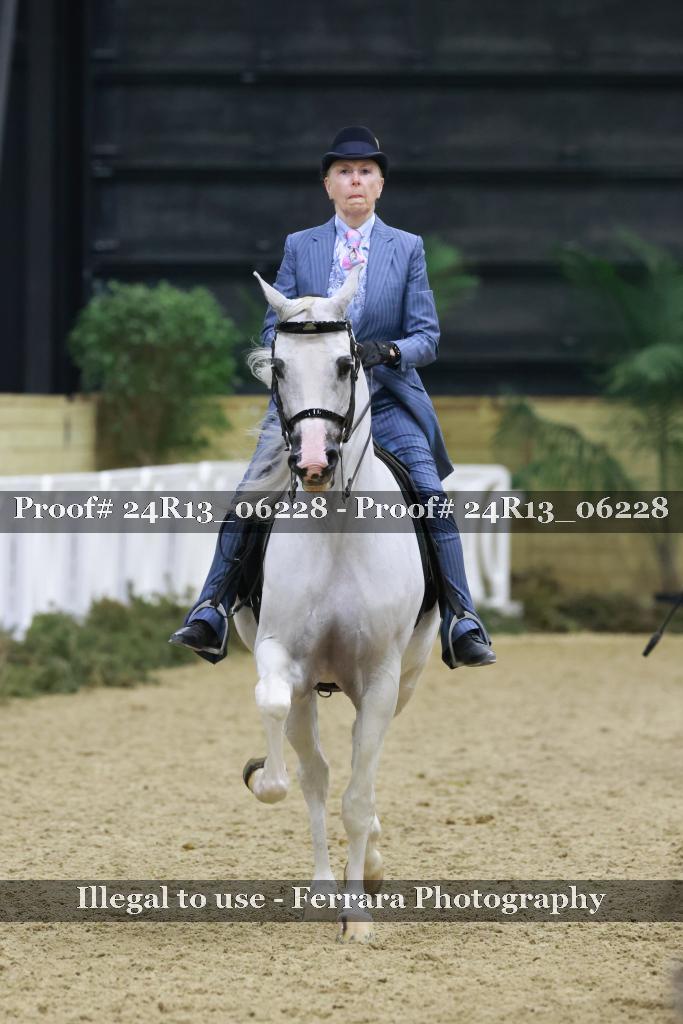 Proof 24R13_06228