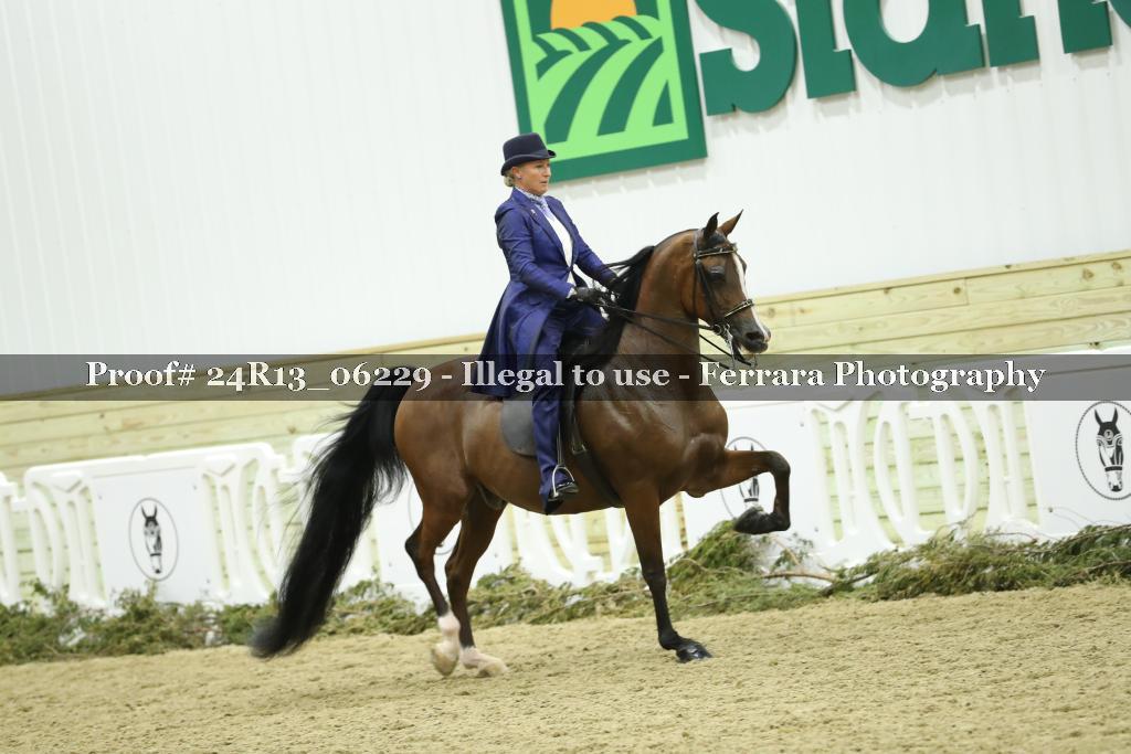 Proof 24R13_06229