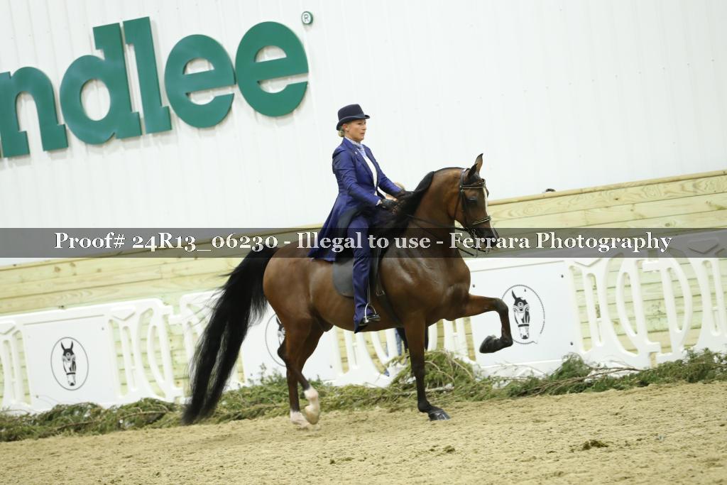 Proof 24R13_06230