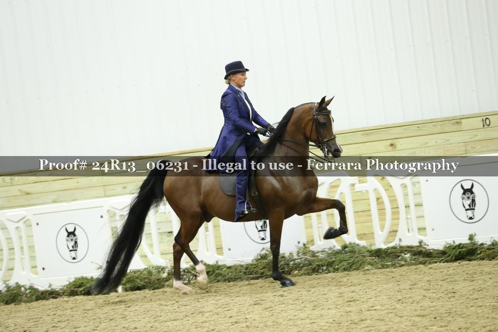 Proof 24R13_06231