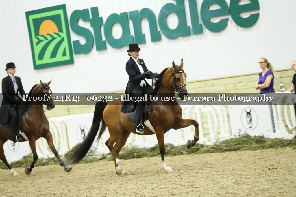 Proof 24R13_06232