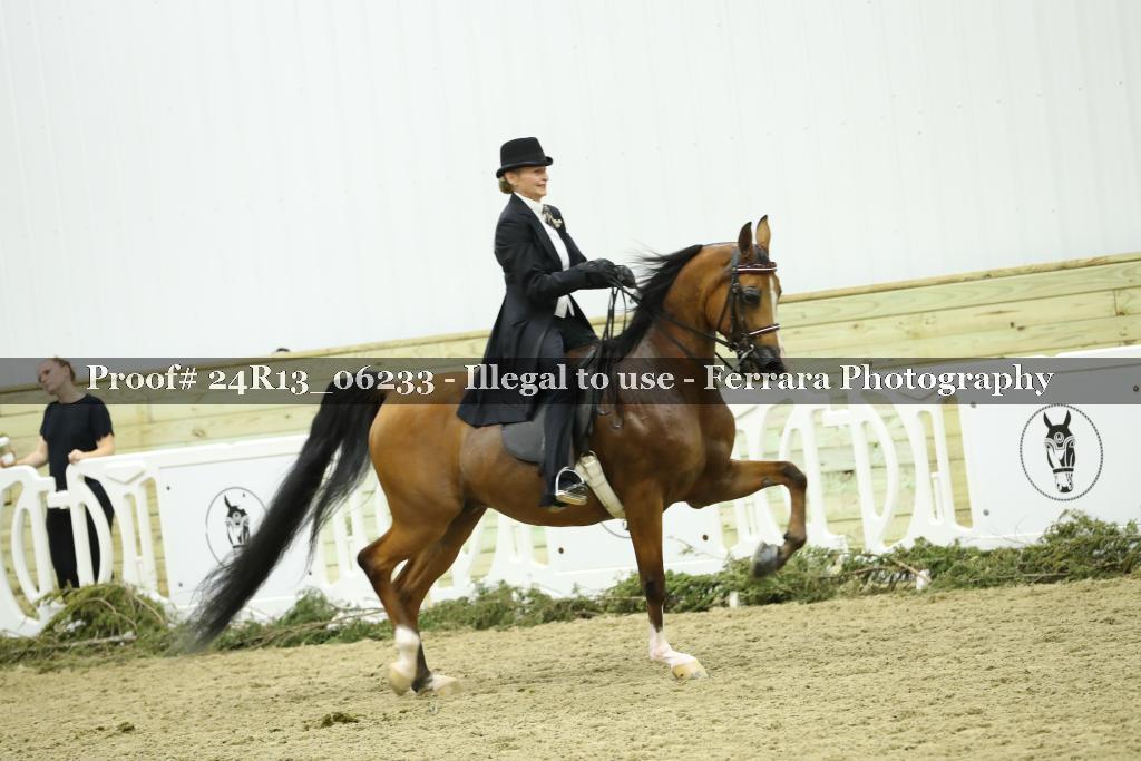 Proof 24R13_06233