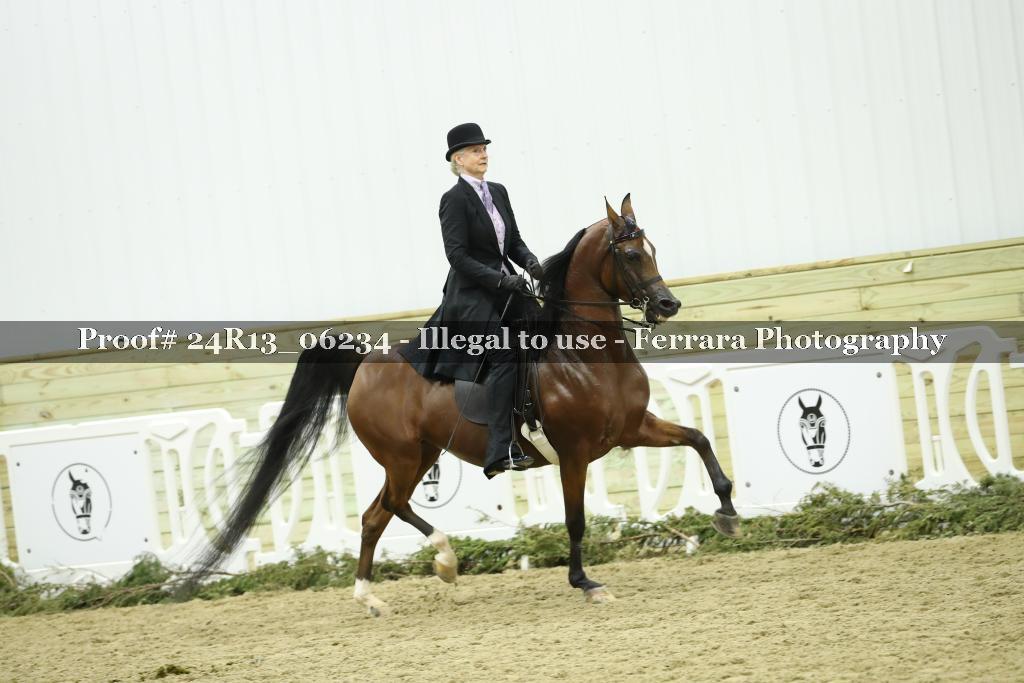 Proof 24R13_06234