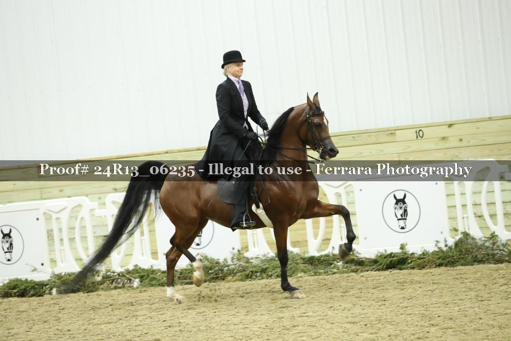 Proof 24R13_06235