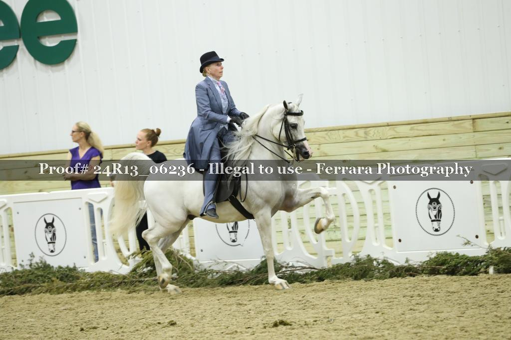 Proof 24R13_06236
