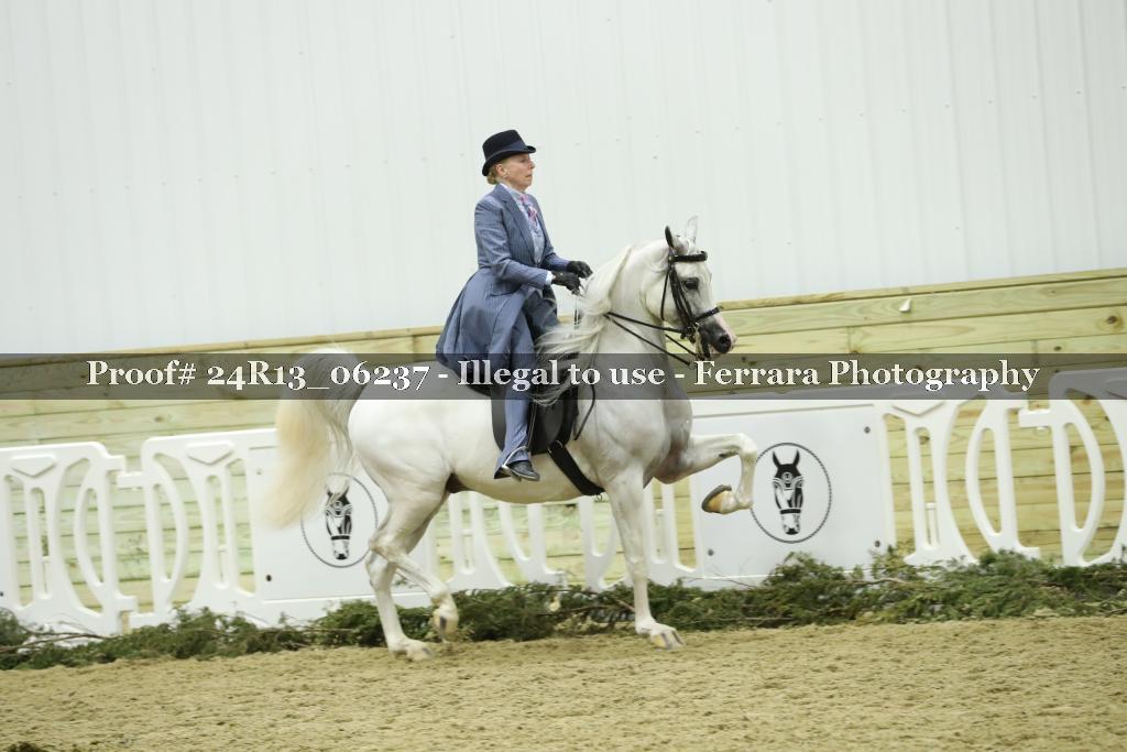 Proof 24R13_06237