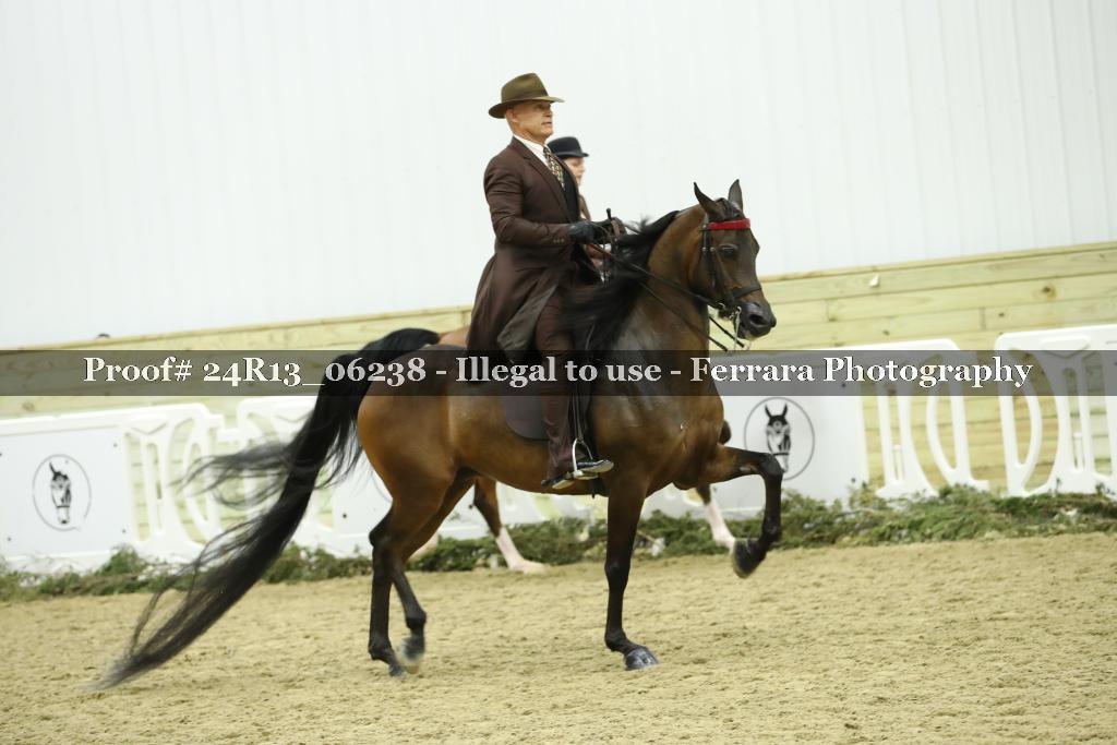 Proof 24R13_06238