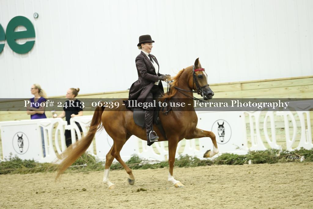 Proof 24R13_06239