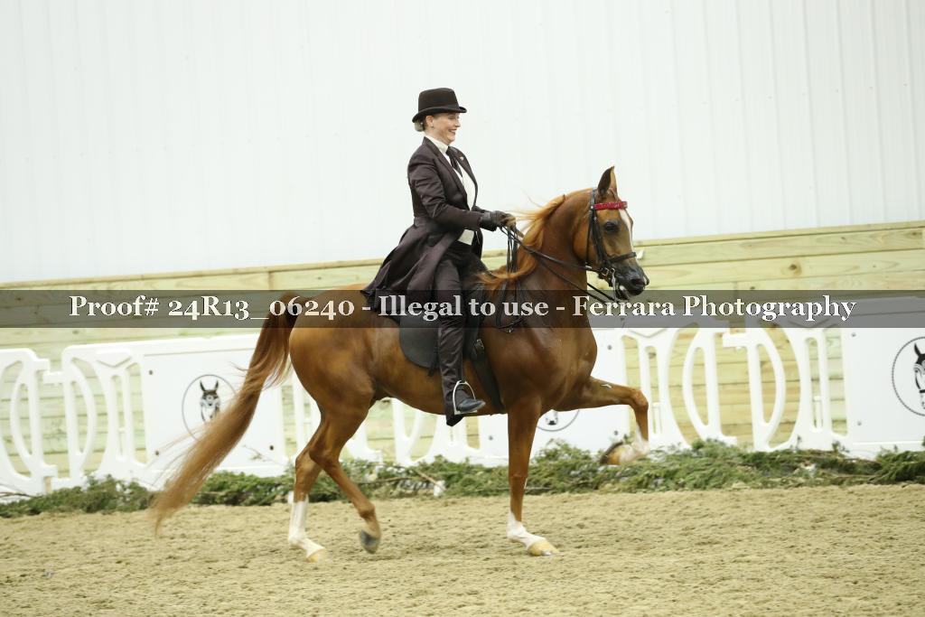 Proof 24R13_06240