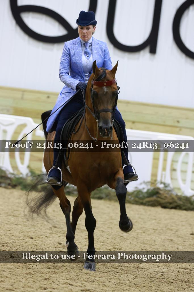 Proof 24R13_06241