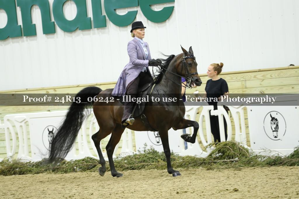 Proof 24R13_06242