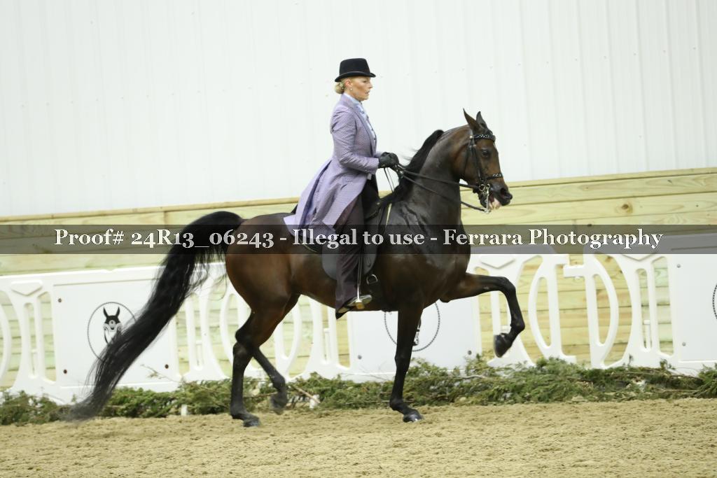 Proof 24R13_06243