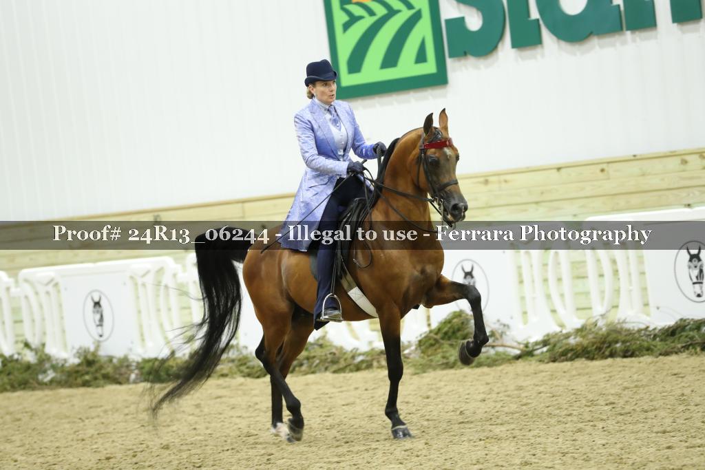 Proof 24R13_06244