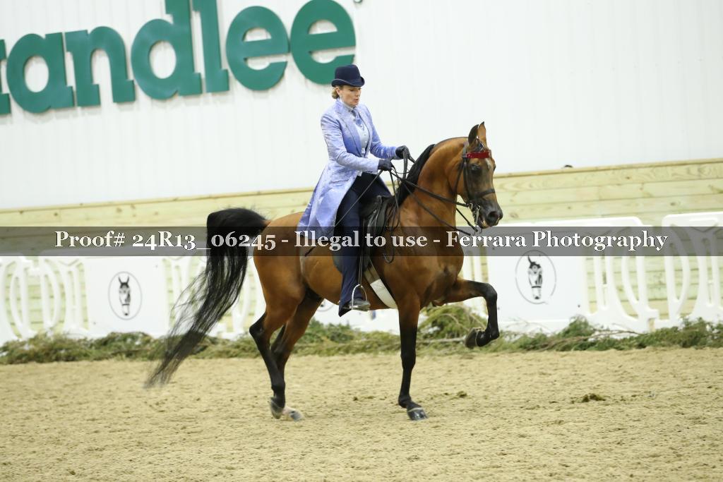 Proof 24R13_06245