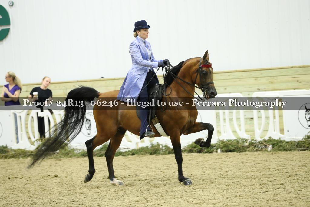 Proof 24R13_06246