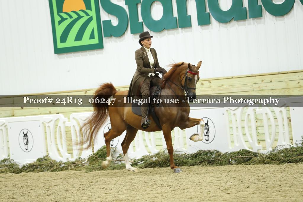 Proof 24R13_06247