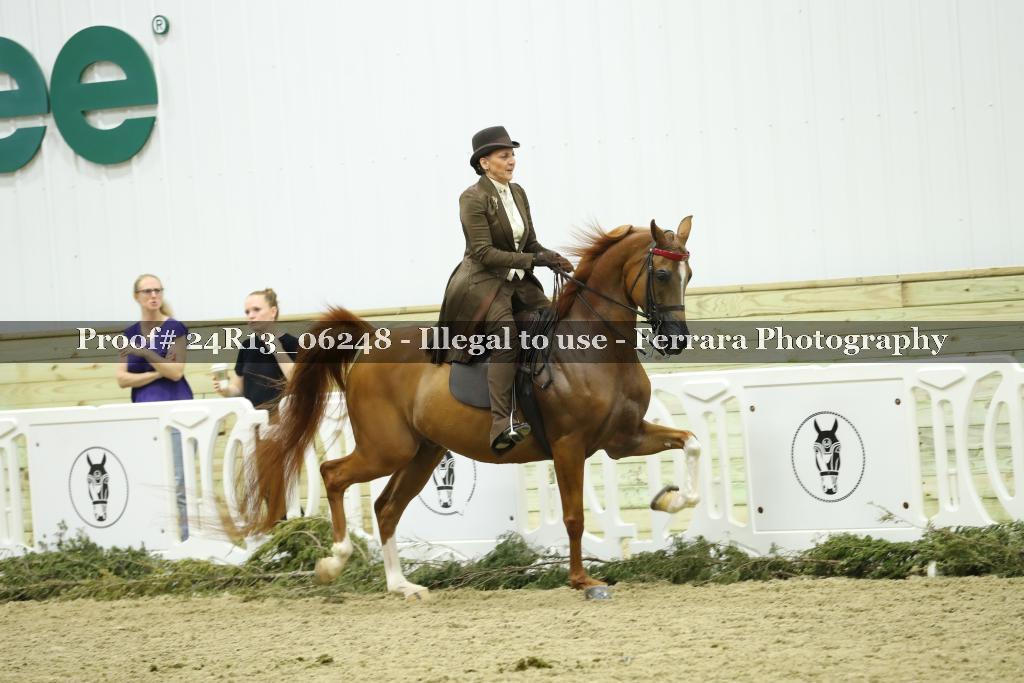 Proof 24R13_06248