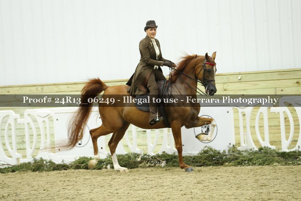 Proof 24R13_06249