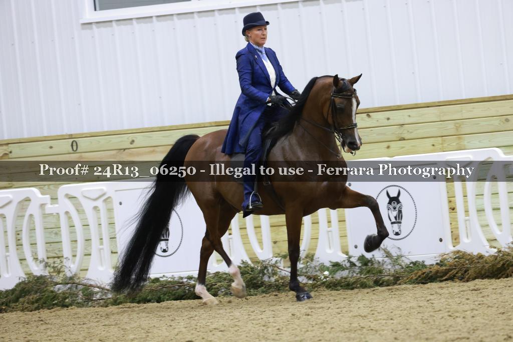 Proof 24R13_06250