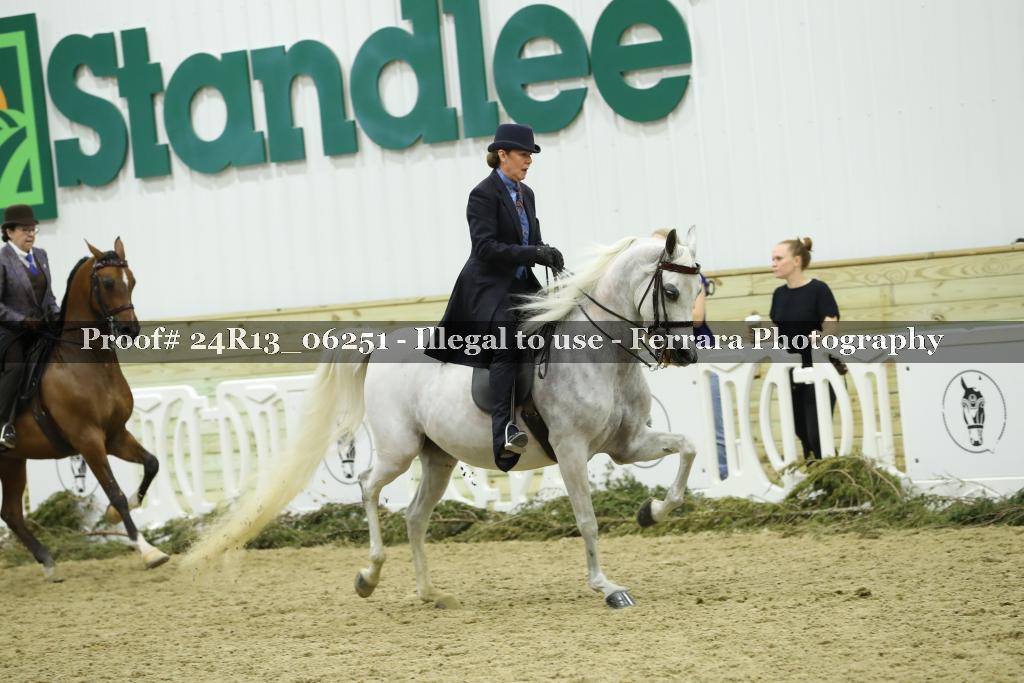 Proof 24R13_06251