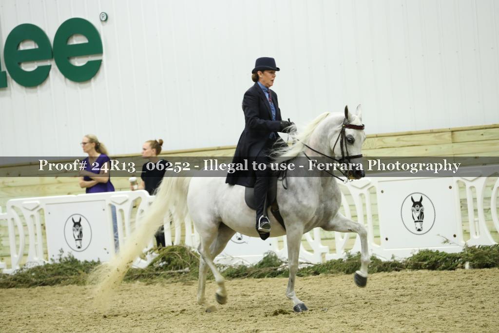 Proof 24R13_06252