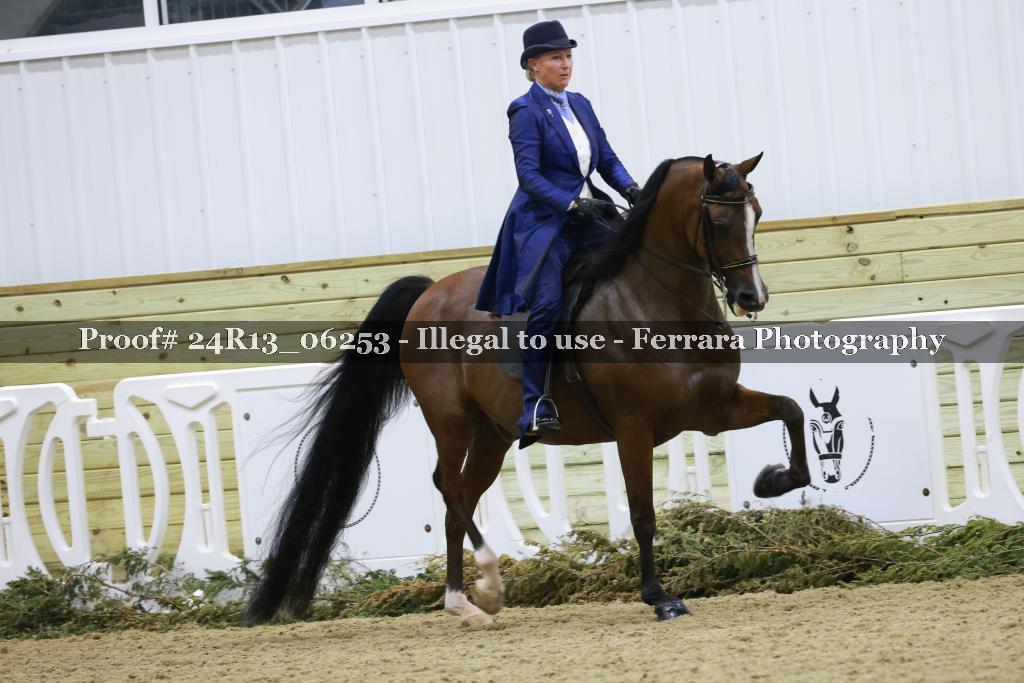 Proof 24R13_06253