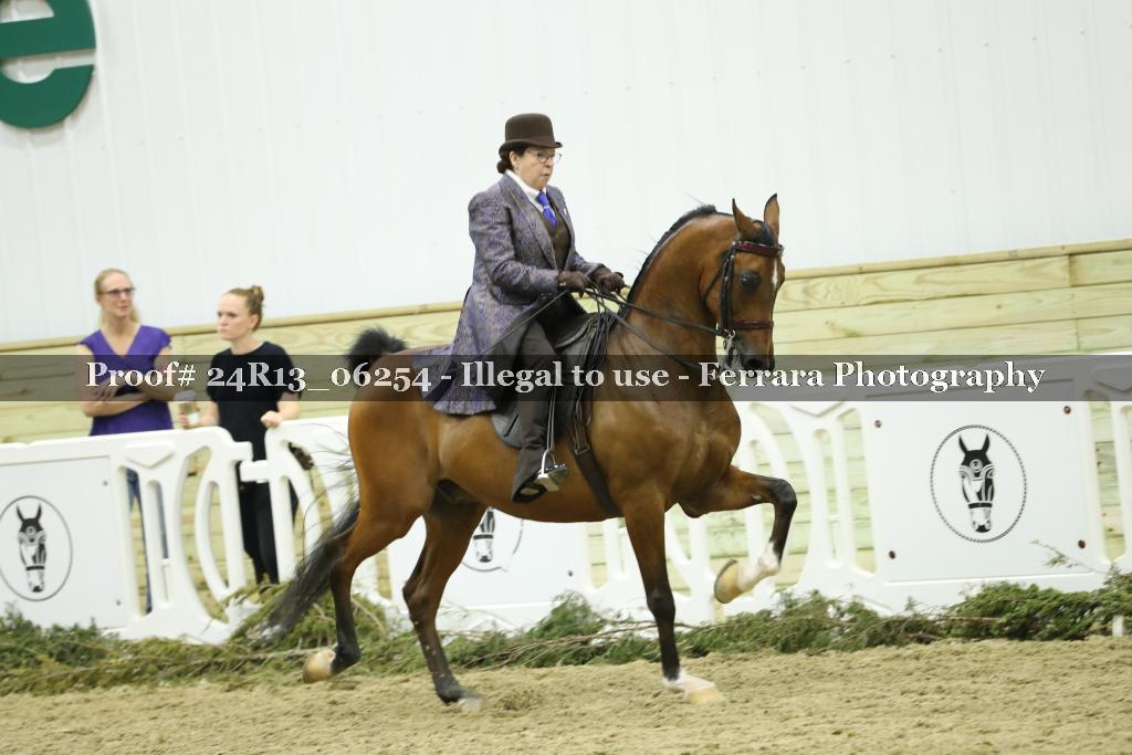 Proof 24R13_06254