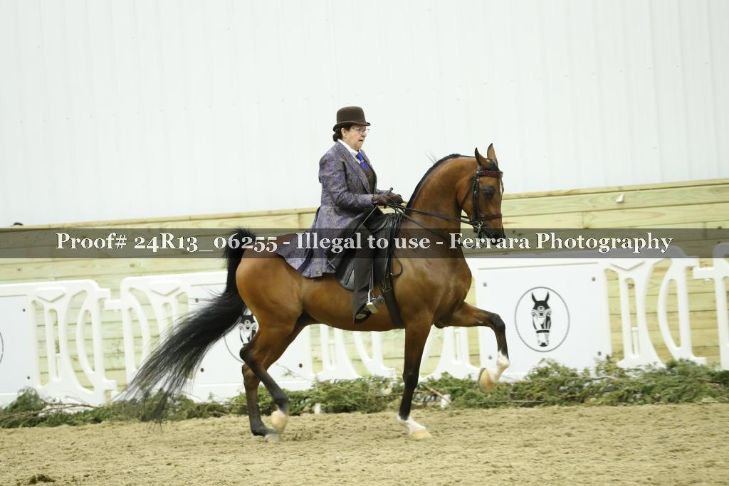 Proof 24R13_06255