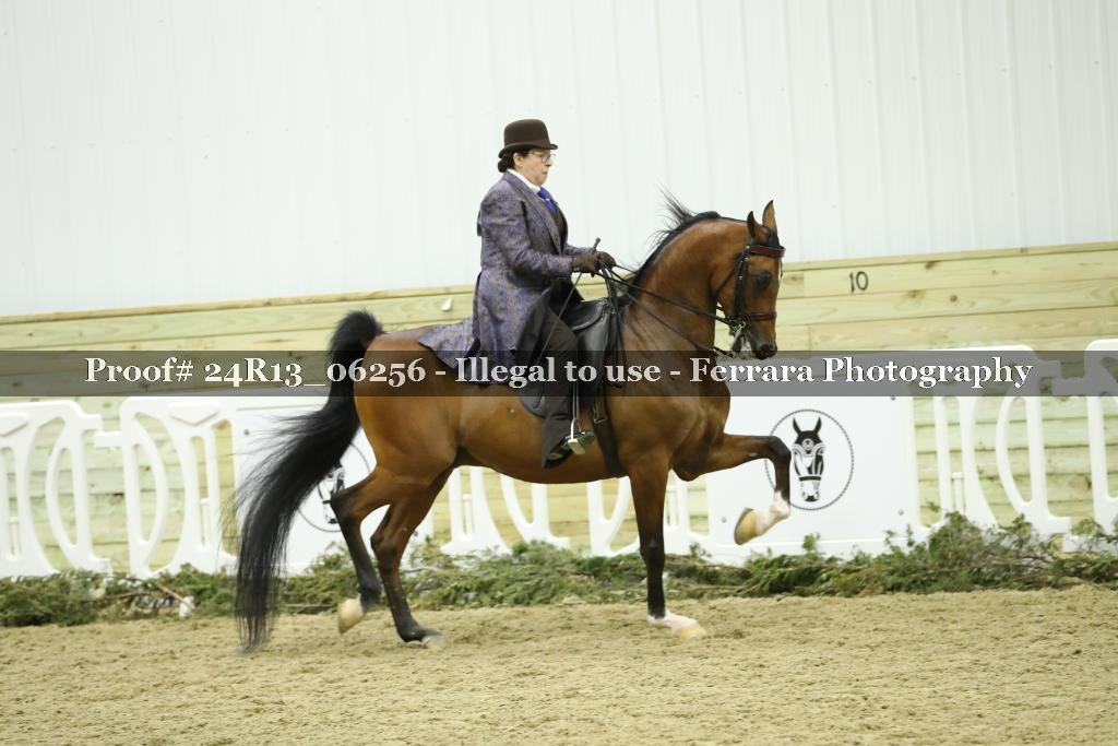 Proof 24R13_06256