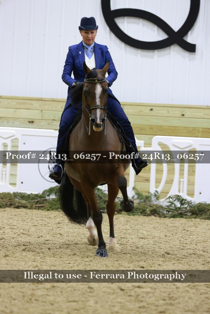 Proof 24R13_06257