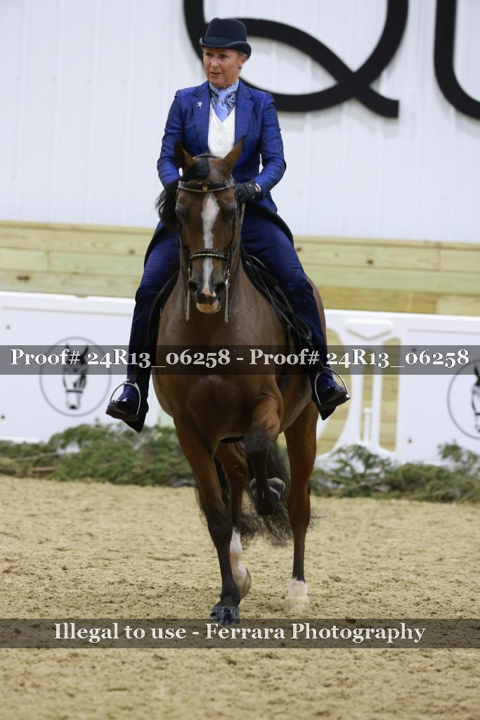Proof 24R13_06258