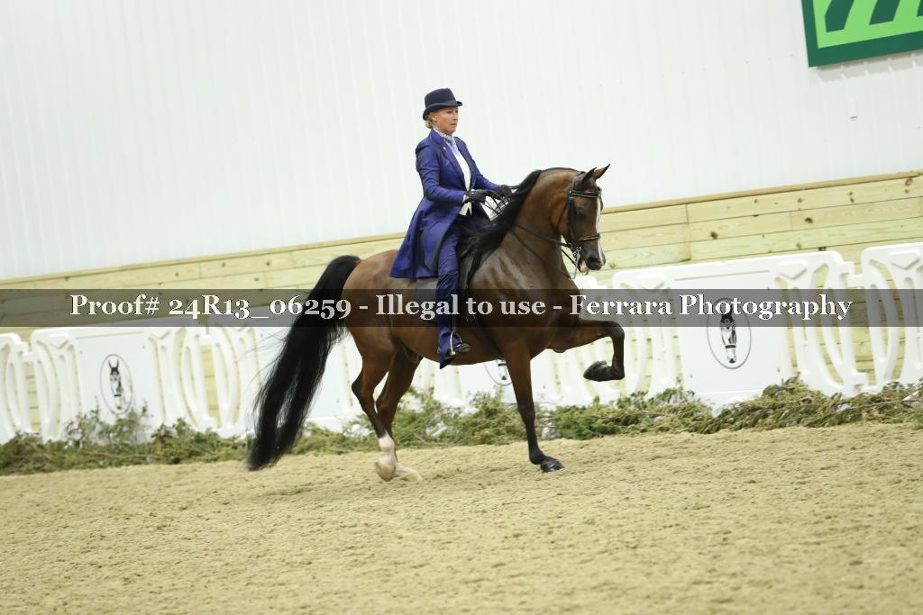 Proof 24R13_06259