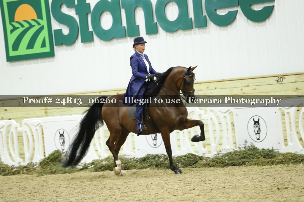 Proof 24R13_06260