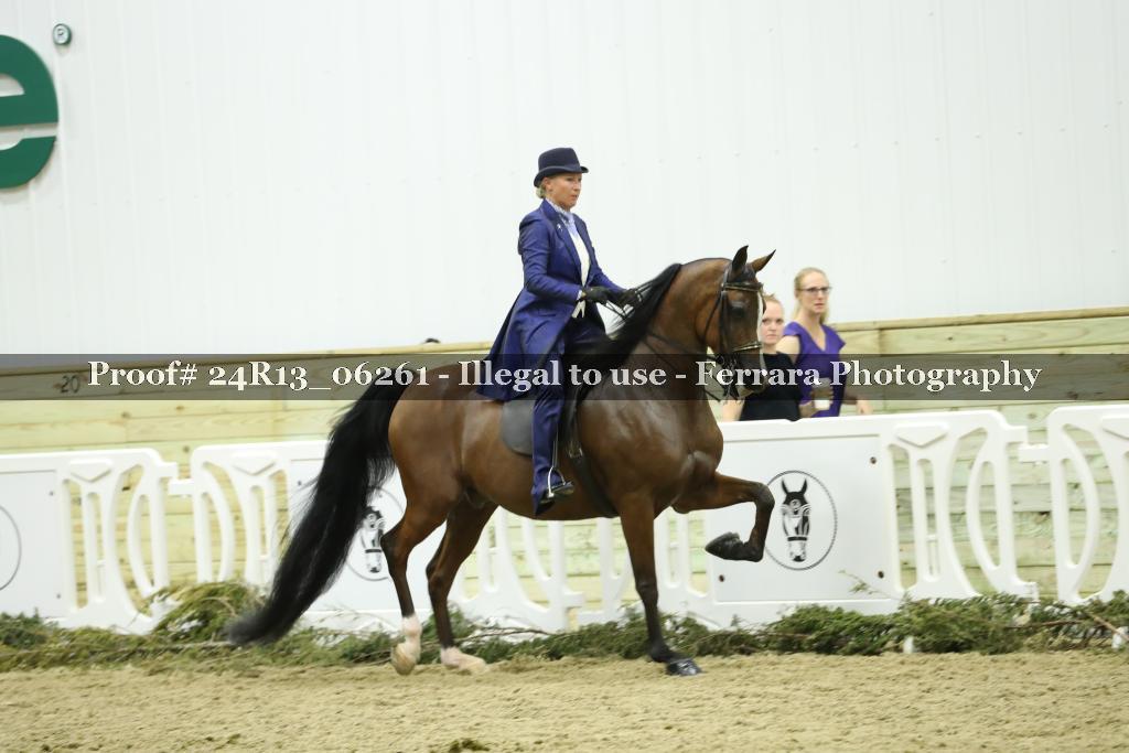 Proof 24R13_06261